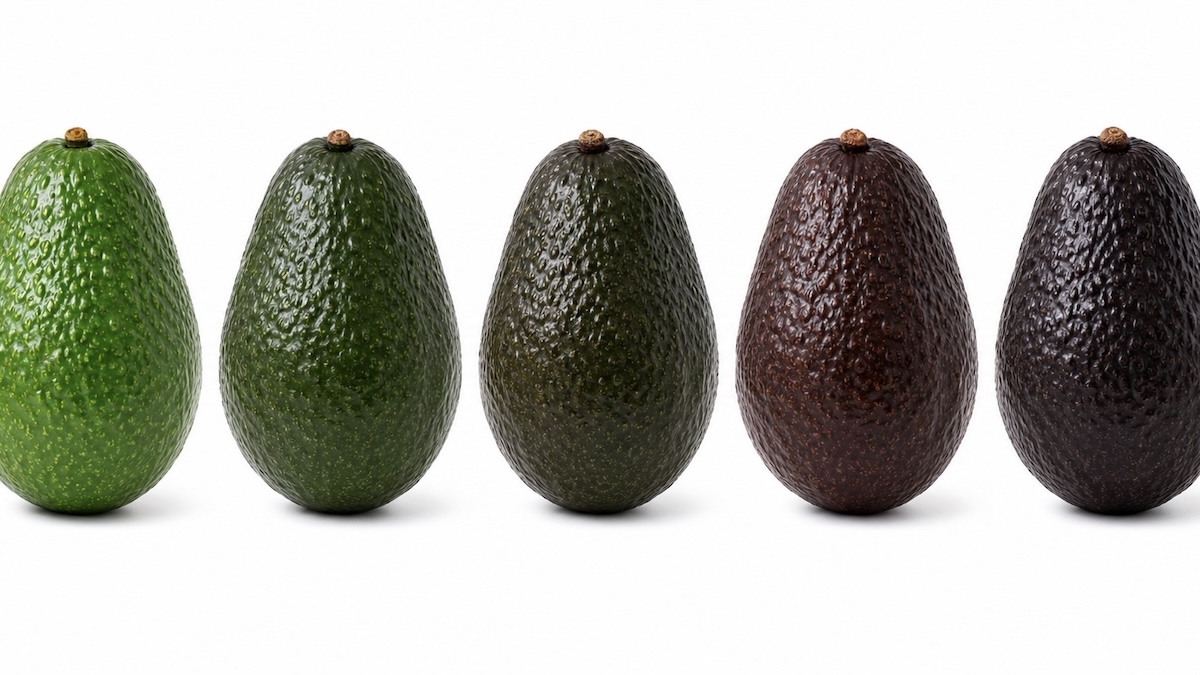 Avo ripeness stages 2.jpeg